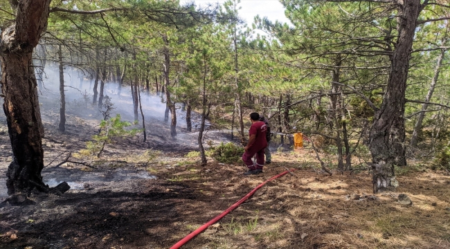 Eskişehir'de yıldırım düşmesi sonucu çıkan orman yangını söndürüldü