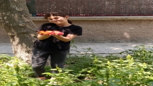 Karapınar'da öğrenciler sebze hasadı yaptı