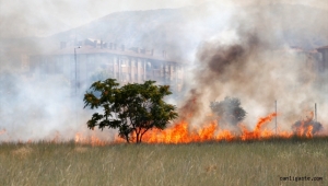 Kayseri'de otluk alanda çıkan yangın söndürüldü