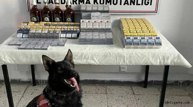 Kayseri'de yol kontrolünde kaçak sigara ve kaçak alkol yakalandı