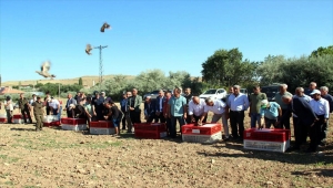 Kırşehir'de 12 yılda 6 bin 825 kınalı keklik doğaya bırakıldı