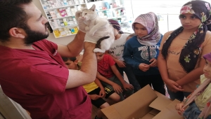 Kur'an kursu öğrencileri sokakta buldukları yavru kediyi sahibine teslim etti