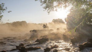 Mandalar ağustos sıcağında gölde serinliyor
