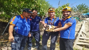 Niğde'de su kuyusuna düşen köpeğin imdadına AFAD ekipleri yetişti