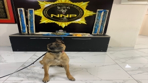 Niğde'de uyuşturucu operasyonunda kuş kafesine zulalanmış 1,5 kilogram esrar ele geçirildi