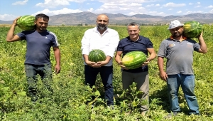 Seydişehir karpuzu ihraç ediliyor