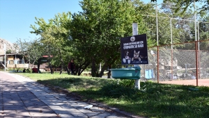Sivas'ta sahipsiz hayvanlar otomatik su kapları sayesinde susuz kalmıyor