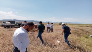 Yalıhüyük'te sivrisinek ve haşere ile mücadele çalışmaları devam ediyor