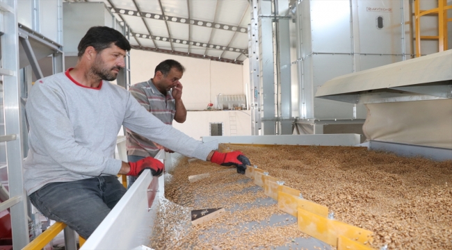 Yozgat çiftçisi KOP desteğiyle yapılan eleme tesisi sayesinde tohum maliyetini düşürüyor