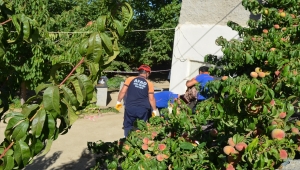 Aksaray'da su kuyusuna düşen kişi hayatını kaybetti