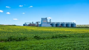 Banvit BRF, gıda israfının önlenmesine katkı sağlamayı hedefliyor