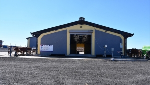 Devlet desteğiyle kurdukları çiftlikten günlük 600 litre süt elde ediyorlar