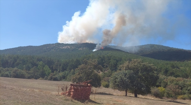GÜNCELLEME 2 - Eskişehir'de çıkan orman yangını kontrol altına alındı