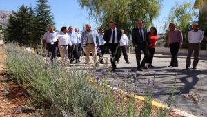 Karaman'da "Lavanta Yetiştiriciliği" kursuna katılan 5 eski hükümlüye sertifika verildi