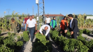 Karapınar'da gençlerin yetiştirdiği sebze ve meyveler ihtiyaç sahiplerine dağıtılıyor