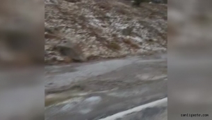 Kayseri'de şiddetli yağış sele neden oldu! AFAD devrede