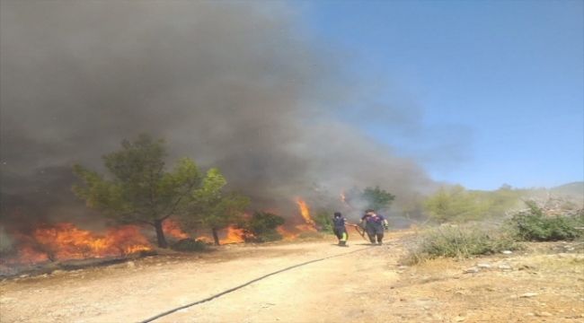 Kayseri itfaiyesi'nden Mersin'deki yangın söndürme çalışmalarına destek 
