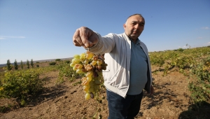 Nevşehir'de dolu ve selden zarar gören köylerde hasar tespit çalışması