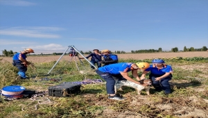 Niğde'de su kuyusuna düşen av köpeği kurtarıldı