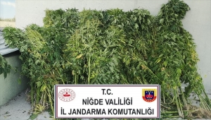 Niğde'de uyuşturucu operasyonunda bir zanlı yakalandı