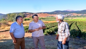 Seydişehir'de 5 çilek bahçesinde başlatılan çilek ekimi 500 dekar alana yayıldı