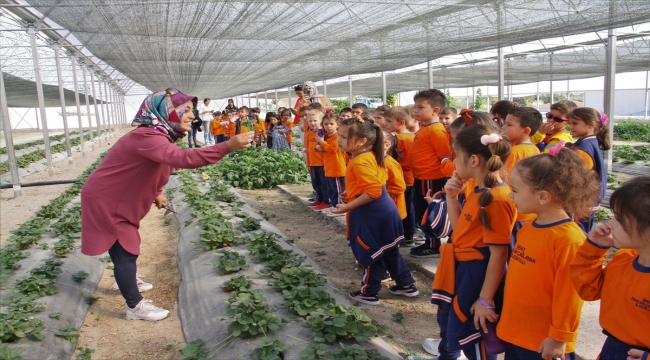 Beypazarı'nda öğrenciler belediyenin örnek bahçesini gezdi