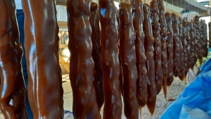 Beypazarı'nda tescil alan cevizli sucuk yapımına başlandı 