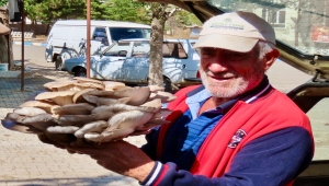 Beyşehir'de 5 kilo 150 gram istiridye mantarı bulundu