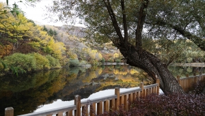 Çam, meşe ve ıhlamur ağaçlarının çevrelediği Karagöl misafirlerini ağırlıyor