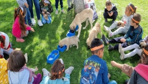 Kaman'da öğrenciler hayvan barınağını ziyaret etti