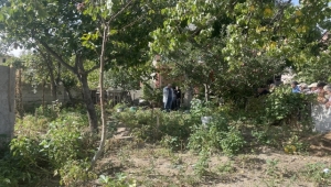 Kayseri 'de ağaçtan düşen kişi hayatını kaybetti