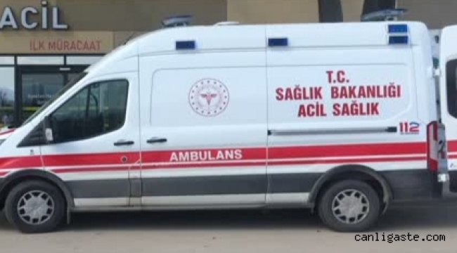 Kayseri'de ceviz ağacından düşen kişi hayatını kaybetti
