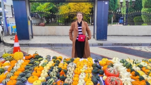 Nallıhan'da belediye önünde açılan süs kabağı satış standı ilgi görüyor