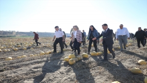 Nevşehir Valisi Becel, kadınlarla kabak çekirdeği ayıkladı