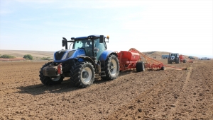 "Reis" buğdayında 4 bin ton tohumluk mahsul beklentisiyle ekime başlandı