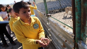 Şarkışla'da 4 Ekim Hayvanları Koruma Günü dolayısıyla etkinlik düzenlendi