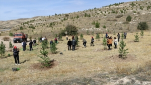 Sivas'ta fidanlar toprakla buluşturuldu