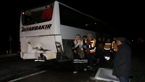 Sivas'ta yola çıkan at kazaya neden oldu: 15 yaralı