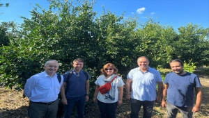 TARSİM heyeti Mersin ve Hatay'da paydaş kurumları ziyaret etti