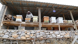 Toroslarda 40 yıldır bal üreterek 7 çocuk yetiştirdi