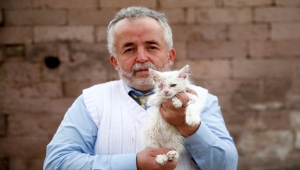 Van kedisinin kornea tahribatı nedeniyle görmeyen mavi gözü ışığa kavuştu