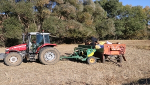 Yozgat'ta 70 bin ton buğday ve arpa tohumu toprakla buluşturuluyor 
