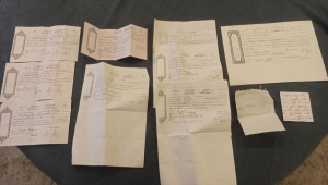 50 ildeki eş zamanlı "Girdap" operasyonunda 202 kişi gözaltına alındı