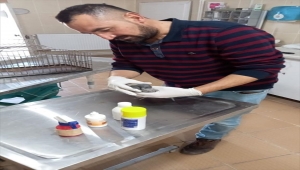 Aksaray'da yaralı güvercine Vali Hamza Aydoğdu'dan yardım eli