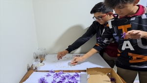  Çumralı öğrenciler okulda safran üretiyorlar