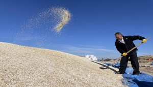 Emekli uzman çavuş memleketinde çiftçilik yapıyor