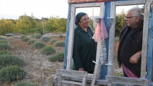 Emekliliğinden sonra ata topraklarına lavanta bahçesi kurdu 