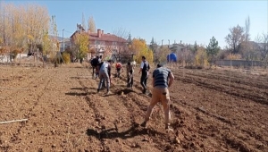 Hüyük'te öğretmenler boş araziye ceviz ve badem fidanı ekti