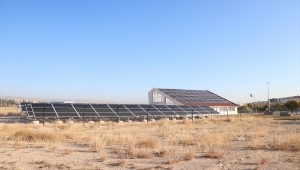 "İklim Dostu" Niğde Ömer Halisdemir Üniversitesi 56 ton atık topladı