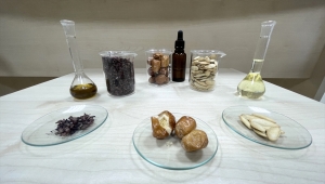 Kapadokya Teknopark'ta Nevşehir'in yöresel ürünlerinden yağ üretilecek